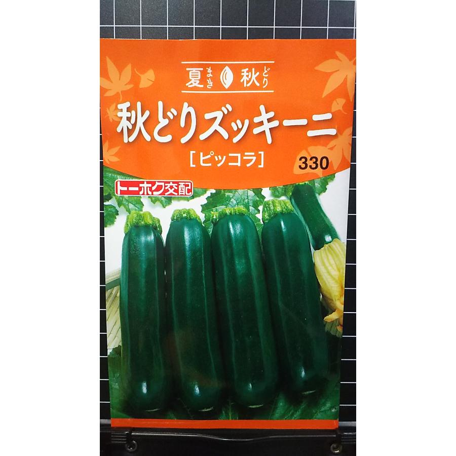 楽天市場】秋どり キュウリ なる蔵 胡瓜 キューリ 種 種 種子