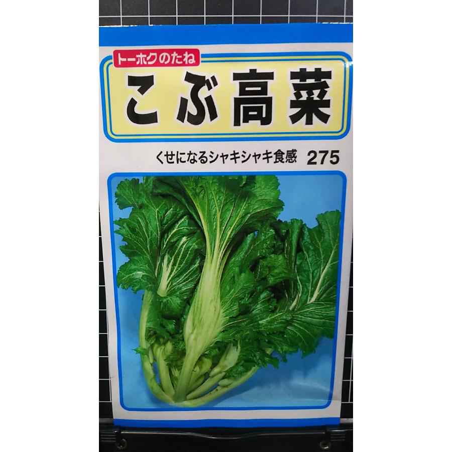三池高菜　20kg 三池大葉縮緬高菜| 種・苗・ガーデニング用品の【タキイネット通販】
