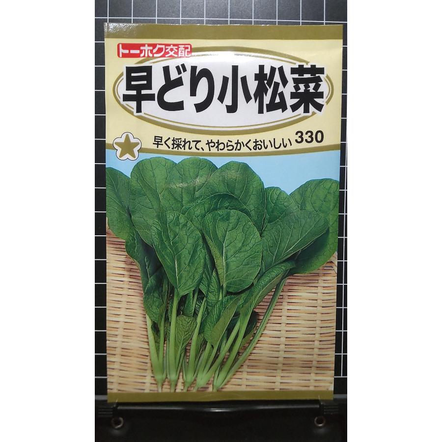 楽天市場】小松菜 種 真夏の四番打者 コマツナ こまつな トキタ 種苗