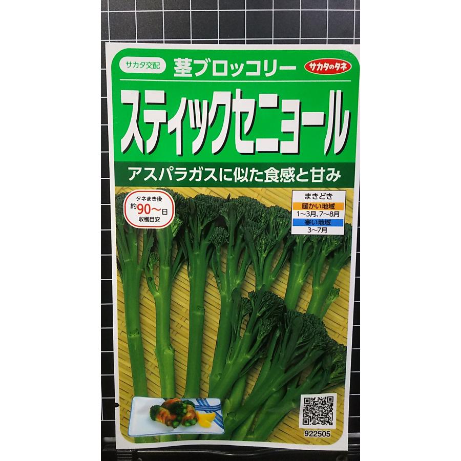 楽天市場】ブロッコリー スティックセニョール コート種子 5000