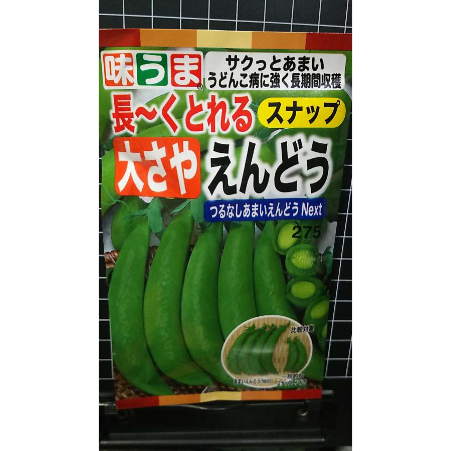 楽天市場】仏国 大さや エンドウ つるあり 種 種子 トーホク : きの