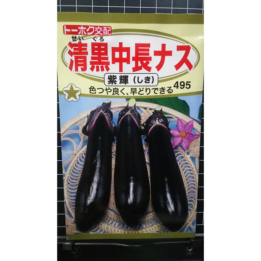 楽天市場】野菜種子 黒秀ナス 紫彩（しさい）トーホクのタネ : Ivy