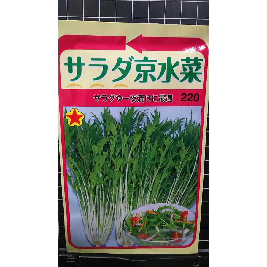 楽天市場】サラダ 京水菜 ミズナ 種 種子 トーホク : きのくに種苗店