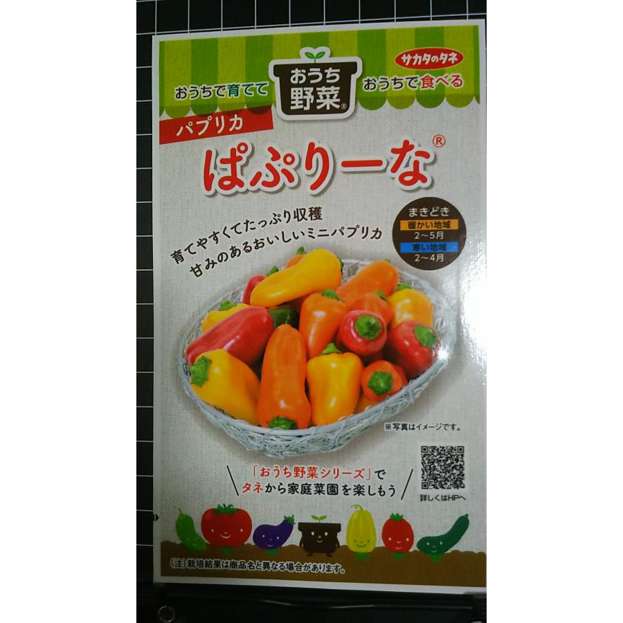 楽天市場】野菜種子 パプリカ「ぱぷりーな」12粒（サカタのタネ