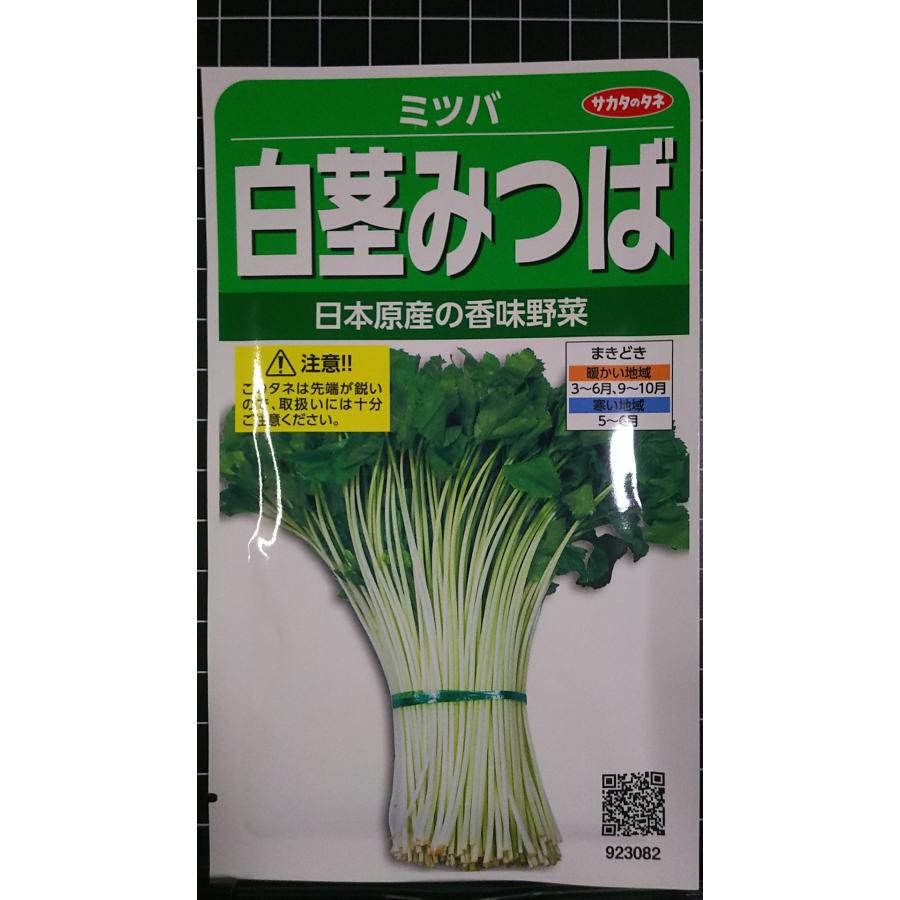 楽天市場】三つ葉 国内採種品 みつば White-stemmed Mitsuba / セリ科
