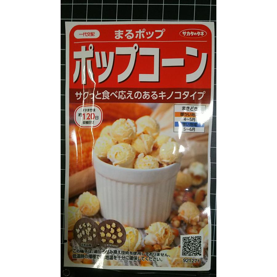 楽天市場】サカタのタネ ポップコーン用とうもろこし 種 イエロー