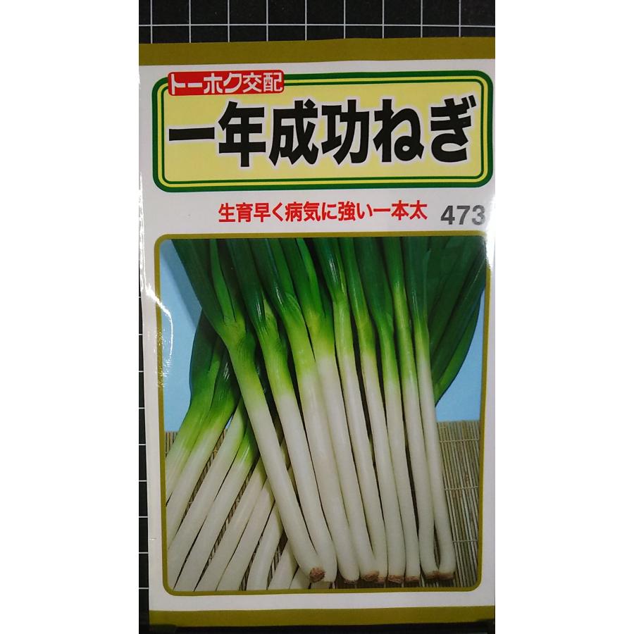 楽天市場】ネギ 種 羽生一本太 トーホク 営利用 プロ向け 大袋 畑 葱