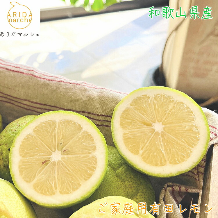 国産マイヤーレモン　約10Kg マイヤーレモン 国産 5kg 送料無料 ＜9月下旬より順次出荷予定