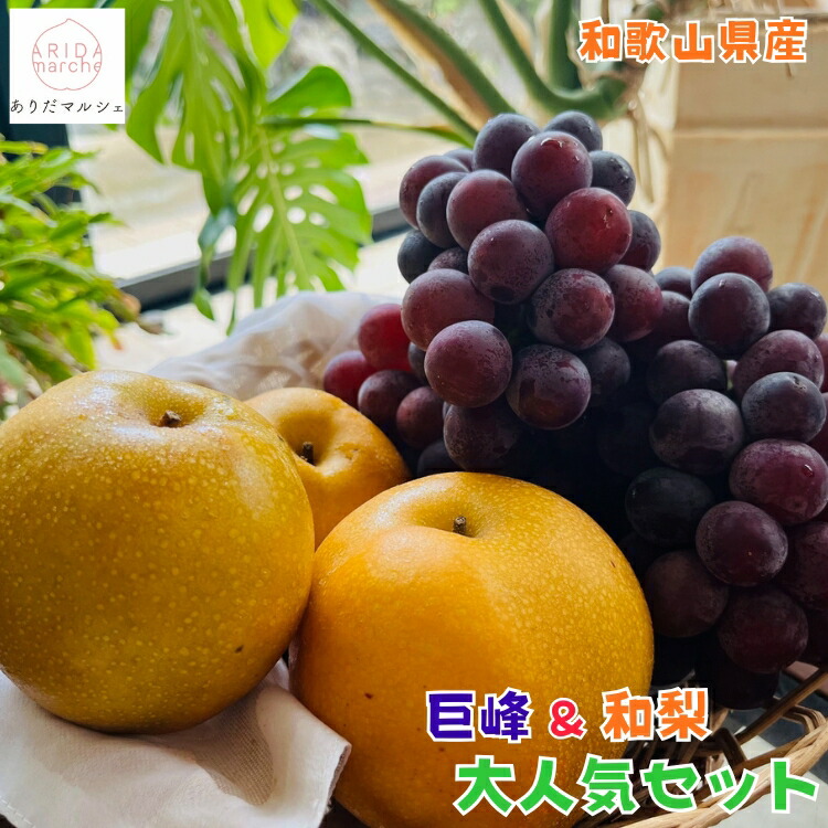 【先行予約 2026年8月中旬以降】森さんの 濃厚 巨峰 と 旬の 梨 大人気セット 合計約2kg_ 有田巨峰村 ギフト 農家直送 産地直送 和梨 豊水 南水 人気 美味しい ぶどう 葡萄 フルーツ 和歌山県産 送料無料 詰め合わせセット 暑中見舞い 残暑見舞い 御祝 お供え 熨斗対応