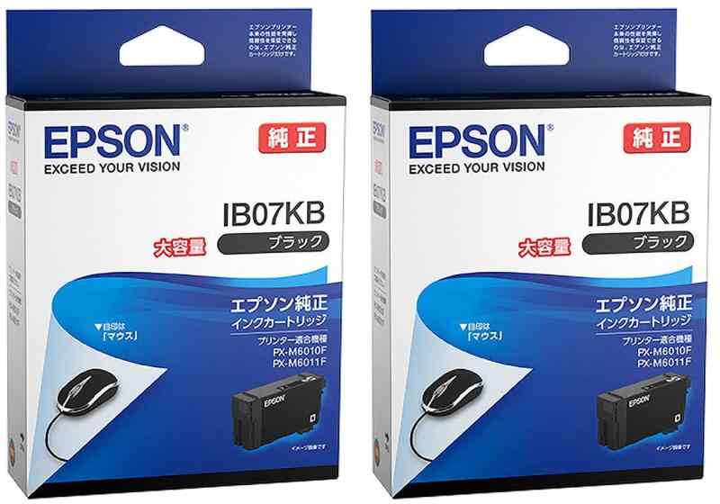 完全無欠インキ IB07KB 黒いこと 大電気容量 2本仕掛ける