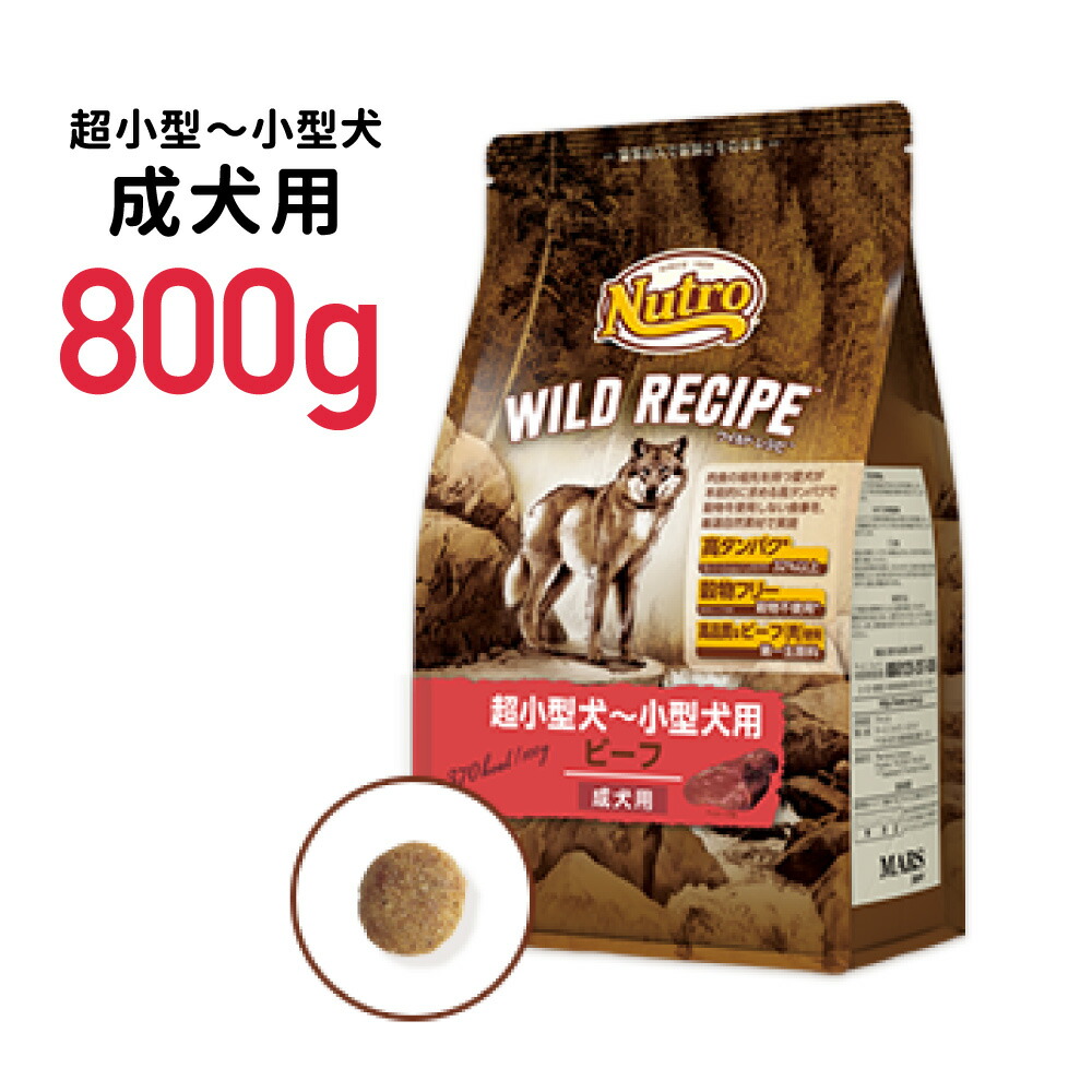 商店 成犬用 800g×5袋 犬 超小型犬用 正規品 ドッグ