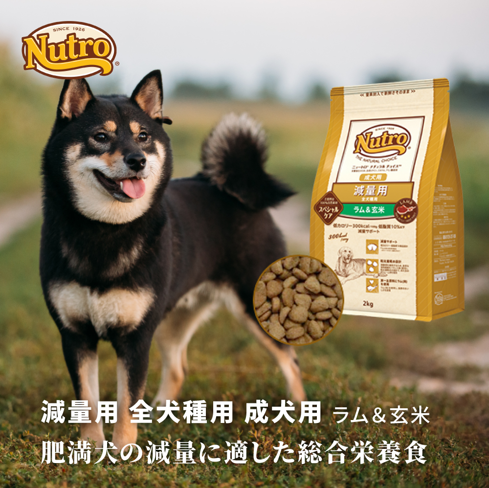 ニュートロ ナチュラル チョイス 減量用 全犬種用 成犬用 ラム＆玄米