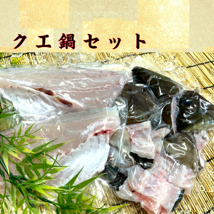 クエ鍋セットb 5 6人前 1 5k 前後の魚体 高級魚 おうちご飯 送料無料 九絵 アラ あら 鍋 セット Novix Com