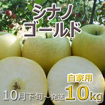目立つキズ等あり!11月上旬頃〜出荷自家用シナノゴールド10kg長野県山ノ内町産★北海道・中国・四国・九州・沖縄離島は送料別途