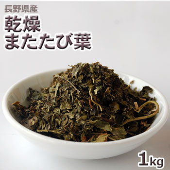 2025年産長野県産乾燥またたび葉１ｋｇ｜ありがた屋ＮＡＧＡＮＯ