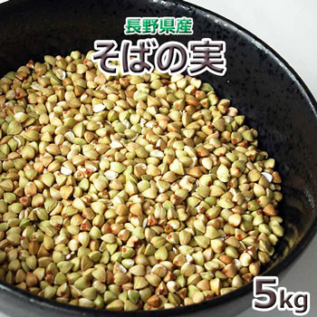 2024年産<br>長野県産「そばの実」<br>５ｋｇ（丸抜き）