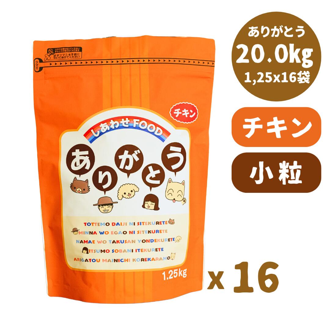 うちの間借り人コリー、いま何歳？