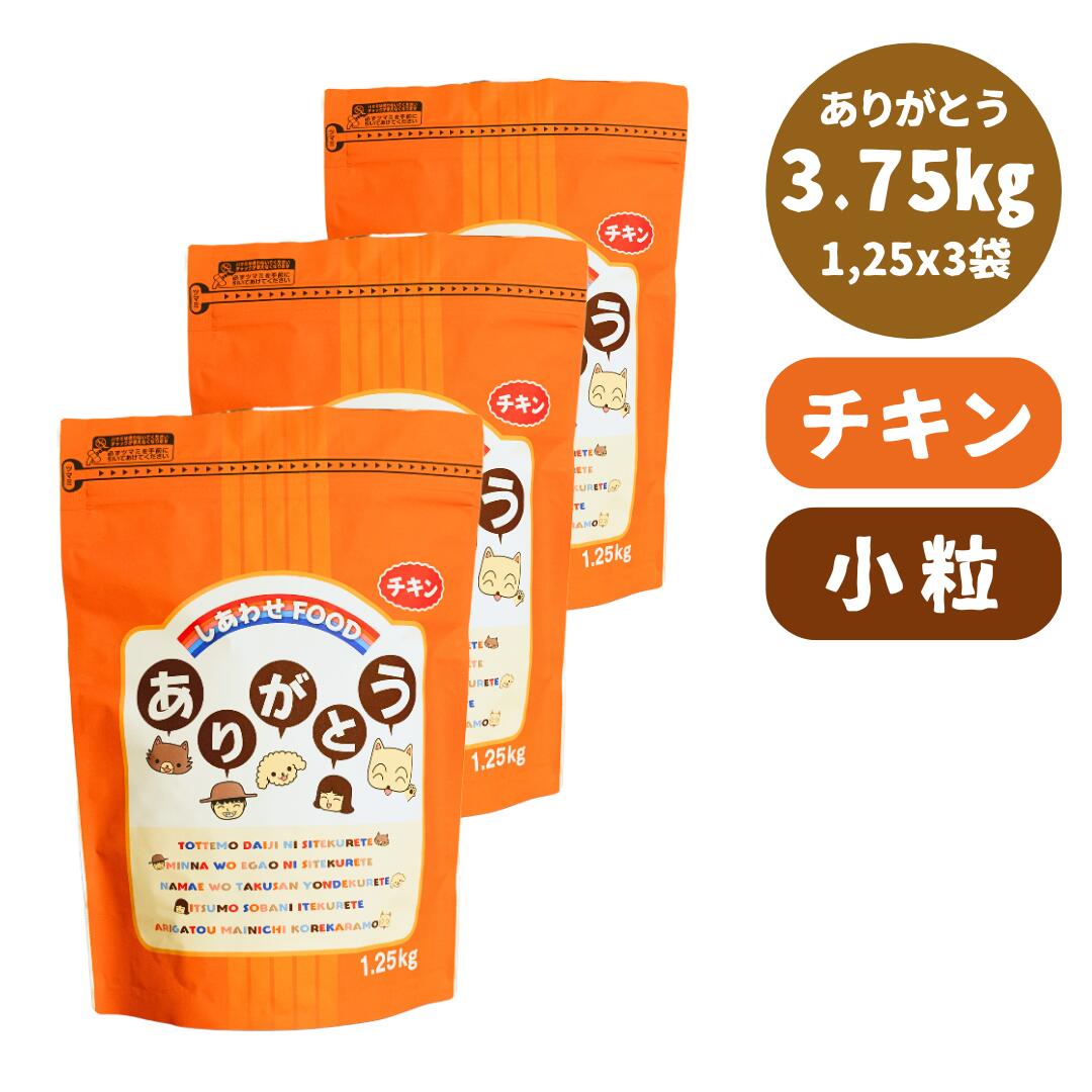 うちの間借り人コリー、いま何歳？