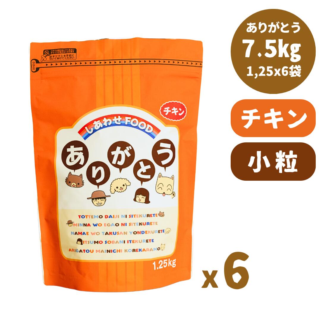 うちの間借り人コリー、いま何歳？