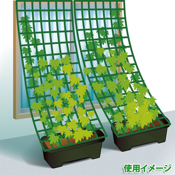 楽天市場 野菜用 容量58l グリーンカーテン用プランター 900 ハーブグリーン ガーデニング 園芸 家庭菜園 ベランダ菜園 ゴーヤ キュウリ 寄せ植え 日除け 目隠し 通販 アイリスオーヤマ 工具ワールド ａｒｉｍａｓ