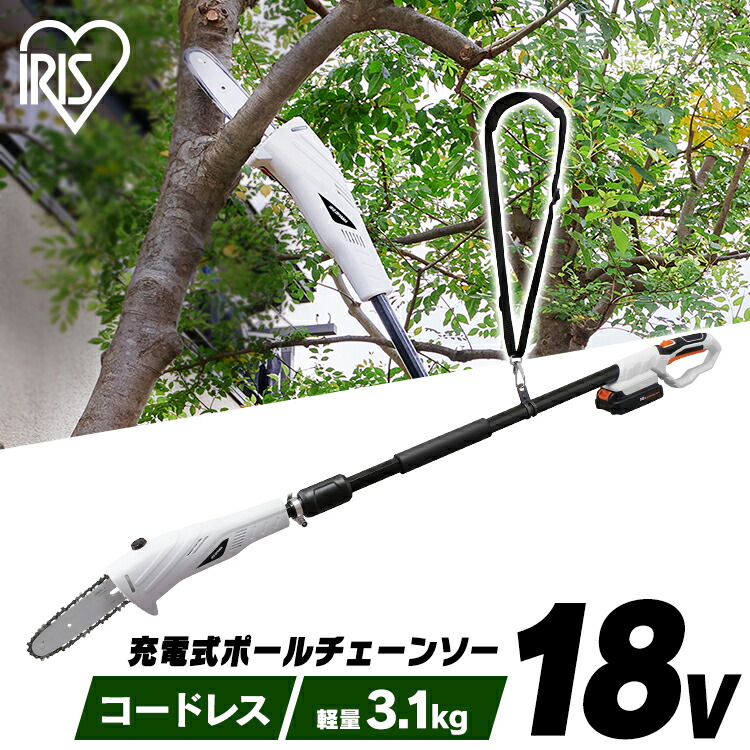 楽天市場】電動高枝切りチェーンソー「高枝健太郎くんPRO」 YSGT-0513送料無料 高枝切りハサミ 剪定鋏 高枝切りばさみ 高枝切りハサミ高枝切り鋏  高枝切りハサミ高枝切りばさみ 剪定鋏高枝切り鋏 高枝切り鋏高枝切りハサミ SIS 【Ｄ】 : 工具ワールド ＡＲＩＭＡＳ