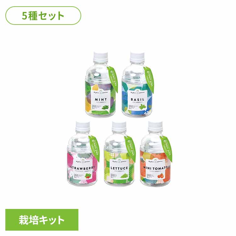 【5種セット】グリーンペット（ミント・バジル・ワイルドストロベリー・レタス・ミニトマト） 栽培キット 栽培セット ミント バジル ワイルドストロベリー レタス ミニトマト 聖新陶芸 SEISHIN ギフト[2604SO]
