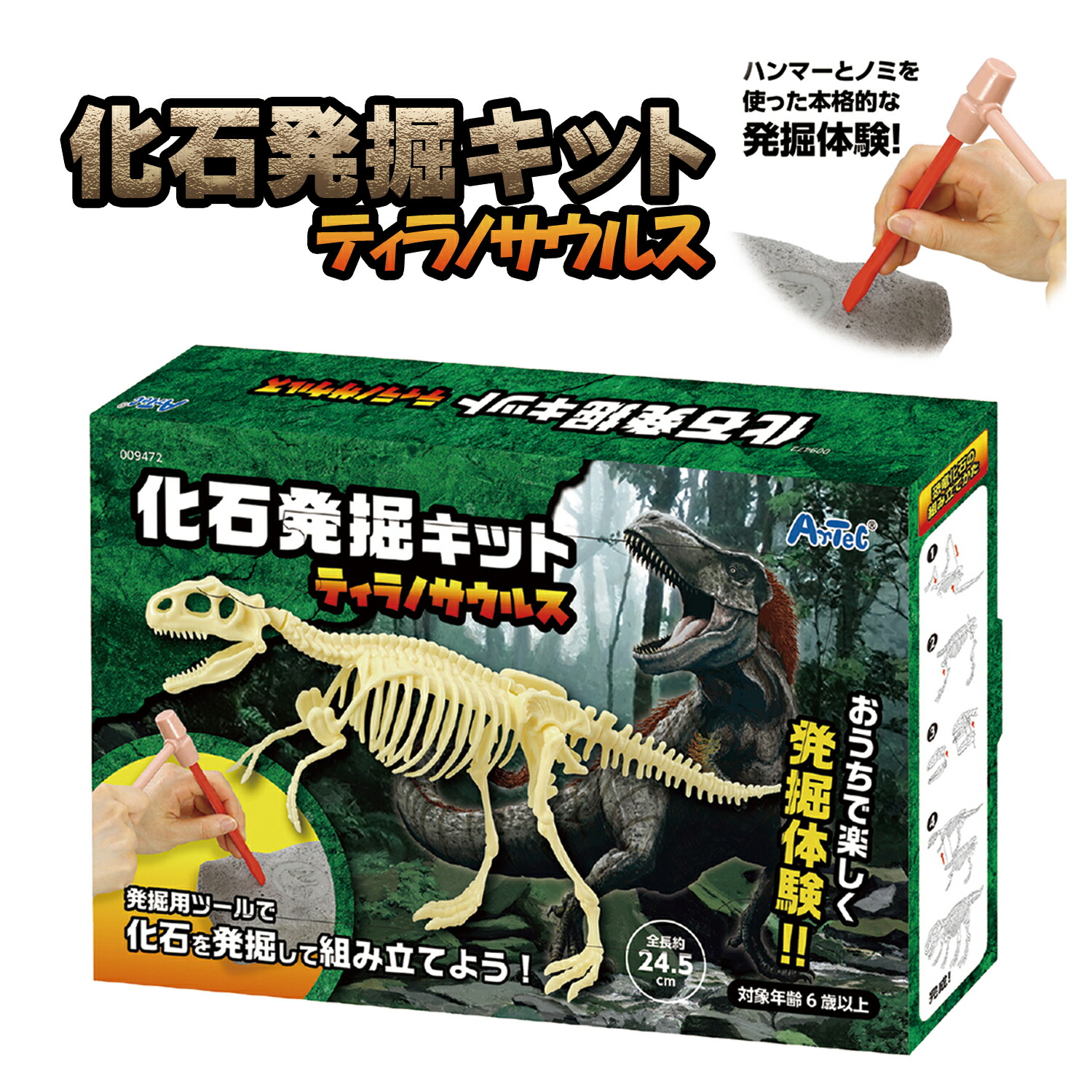 楽天市場】頭蓋骨発掘セット ティラノサウルス 本物の化石付き