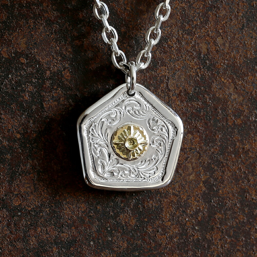 楽天市場】T-120e（中allSV） : ARIZONA FREEDOM