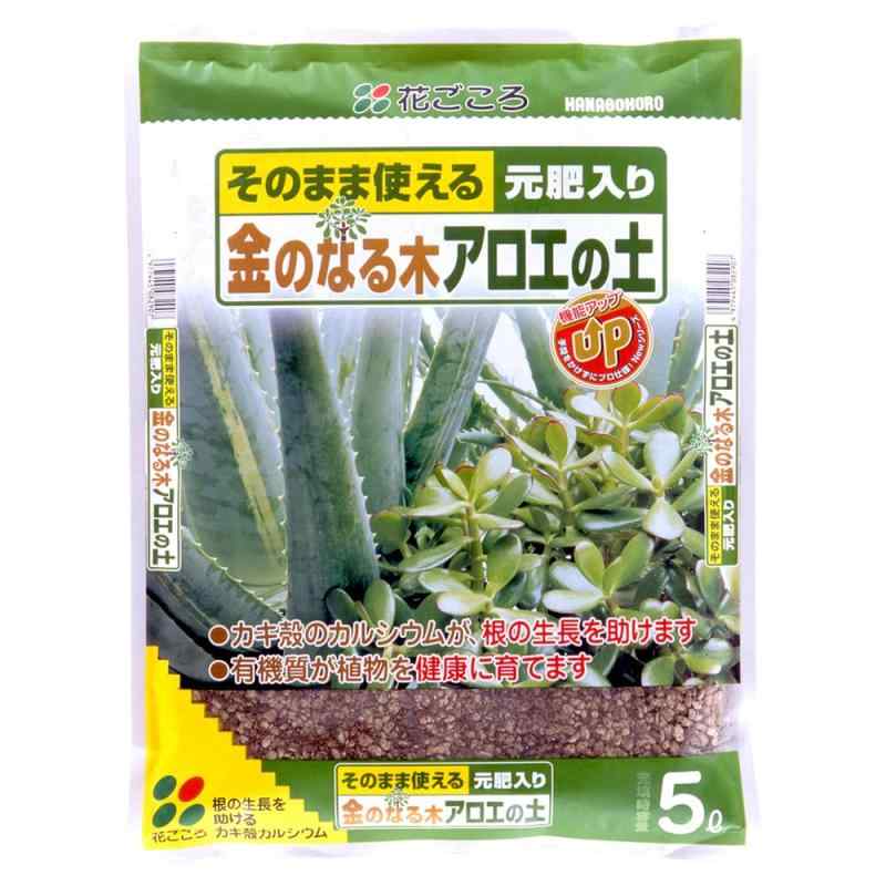 花ごころ 金のなる木アロエの土