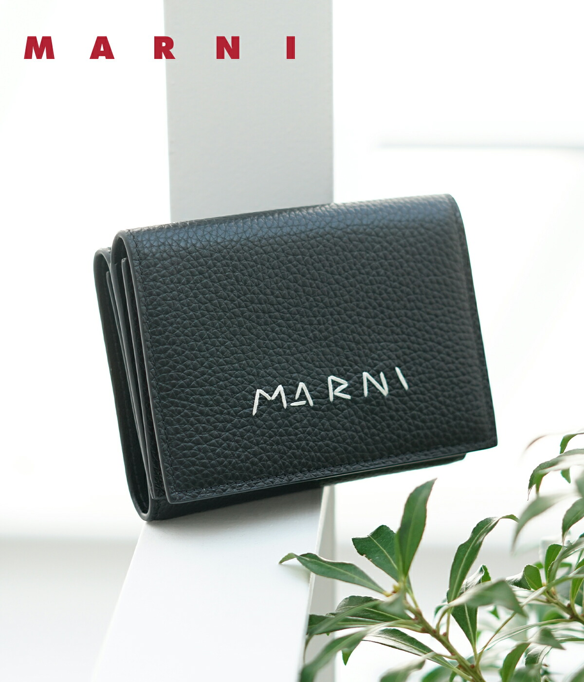 SALE｜最大限度50％OFF