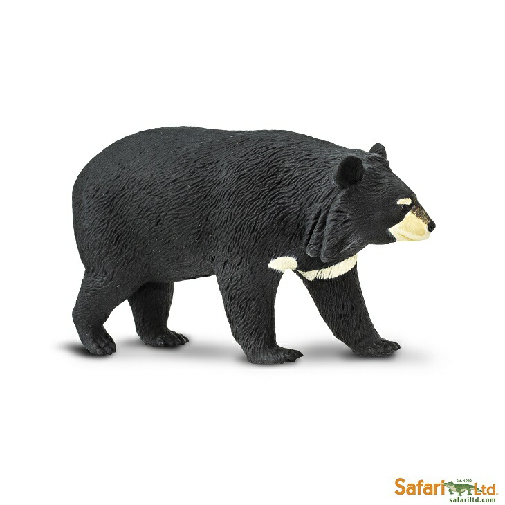 サファリ レプリカ アンゴラライオン(オス) o7r6kf1 Amazon.co.jp: Safari Ltd. サファリ レプリカ アンゴラライオン