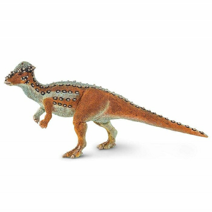 楽天市場】safari (サファリ)トリケラトプス 284529【全商品・全