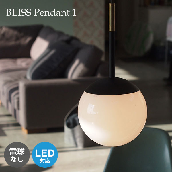 品数豊富 ペンダントライト 吊下げ灯 デザイン Led対応 1灯 おしゃれ カフェ ダイニング シンプル モダン 北欧 天井 照明 ペンダントライト 照明器具 居間 モデルルーム 新生活 インテリアライト オシャレ カフェ風インテリア 店舗 ディスプレイ リビング インテリア
