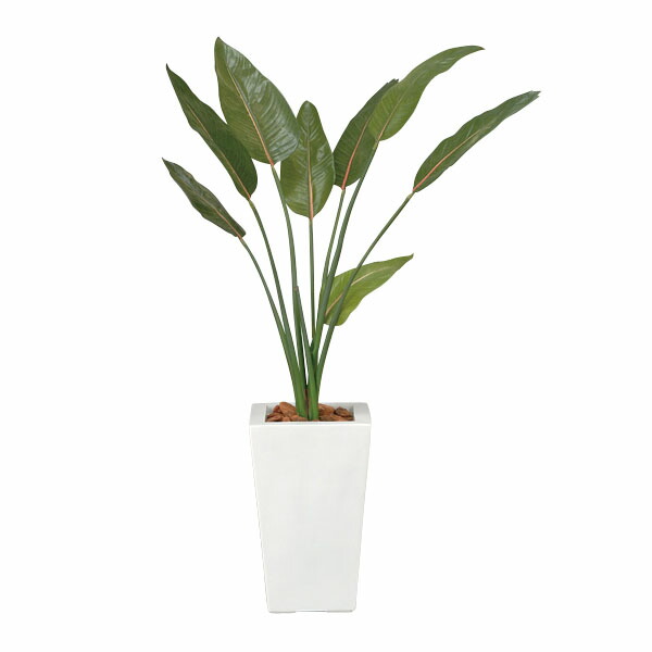 超激安 楽天市場 観葉植物 ストレチア 高さ1cm イミテーション 枯れない グリーン 植物 インテリア 消臭 おしゃれ 光触媒 リビング 人工 観葉植物 フェイク 人工 インテリアグリーン フェイクグリーン 人工植物 造花 開店祝い 新築祝い 贈り物 人工観葉樹 光の楽園