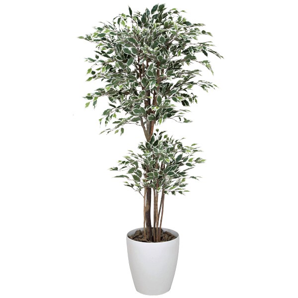 フェイクグリーン イミテーショングリーン フェイク 植物 消臭 観葉植物 光触媒 おしゃれ トロピカルベンジャミン斑入り 大きい 人工観葉植物 大型 インテリアグリーン グリーン ベンジャミン 造花 人工植物 高さ160cm アートグリーン 開店祝い 新築祝い 人工観葉樹 人工樹 |1cmオーダー家具 arne(アーネ)