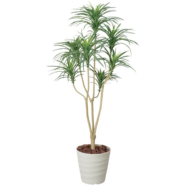 人工観葉植物 フェイク 光触媒 グリーン 贈答用 リビング 消臭 インテリア 玄関 インテリアグリーン 新築祝い 観葉植物 フェイクグリーン 緑のある暮らし アートグリーン おしゃれ ディスプレイ 引っ越し祝い フェイクグリーン 観葉植物 フェイク 光触媒 枯れない 人工観葉植物 フェイク 光触媒 グリーン 贈答用 リビング 消臭 インテリア 玄関 インテリアグリーン 新築祝い 観葉植物 フェイクグリーン 緑のある暮らし アートグリーン おしゃれ ディスプレイ 引っ越し祝い フェイクグリーン 観葉植物 フェイク 光触媒 枯れない