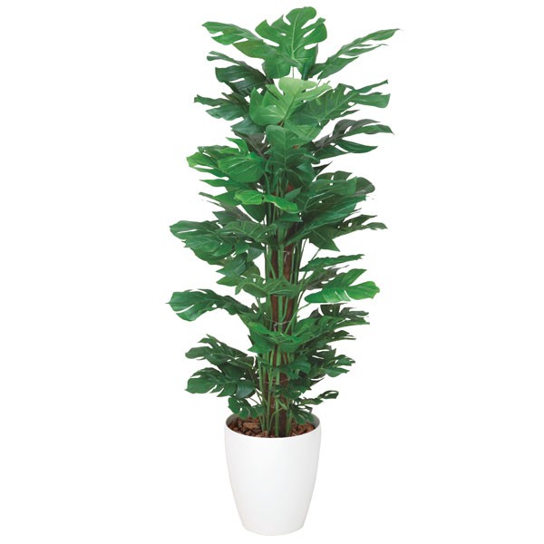 人気特価激安 楽天市場 観葉植物 造花 インテリア オフィス おしゃれ 枯れない 光触媒 人工観葉植物 植物 フェイク フェイクグリーン 光触媒 観葉植物 リビング グリーン 消臭 開店祝い スプリット アートグリーン 高さ1cm 新築祝い 贈り物 アジアン サロン 店舗 人工