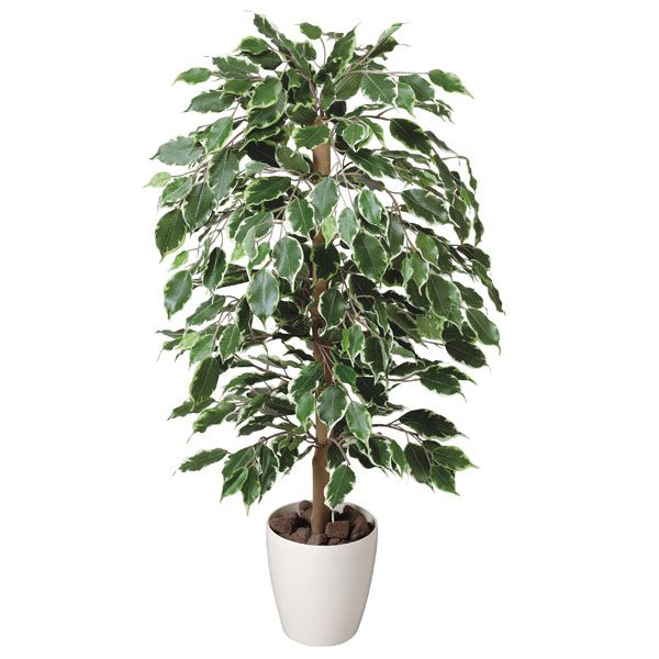 観葉植物 造花 おしゃれ 植物 光触媒 人工観葉植物 グリーン インテリア フェイクグリーン 開店祝い フェイク リビング オフィス ゴールデンフィカス 高さ100cm インテリアグリーン アートグリーン 光触媒加工 消臭 新築祝い 贈り物 アジアン サロン 美容院 店舗 人工観葉樹 |1cmオーダー家具 arne(アーネ)