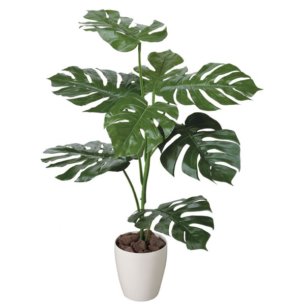 新発売の 楽天市場 観葉植物 光触媒 フェイクグリーン フェイク オフィス 高さ100cm グリーン 人工観葉植物 人工観葉樹 モンステラ 消臭 造花 枯れない インテリア 母の日 ホテル 玄関 植物 開店祝い 光触媒加工 新築祝い 贈り物 アジアン サロン 美容院 店舗 光の楽園