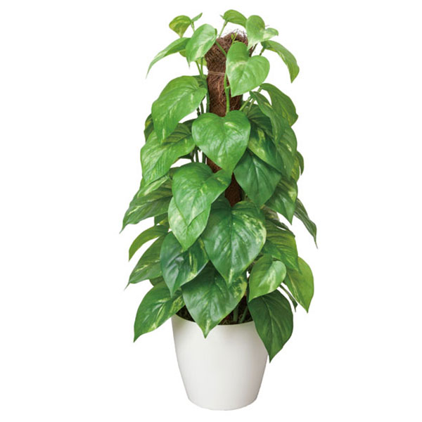 観葉植物 グリーン 光触媒 インテリア 枯れない フェイクグリーン アートグリーン 造花 イミテーショングリーン 消臭 人工植物 インテリアグリーン 新築祝い フェイク 人工観葉植物 植物 開店祝い 光触媒加工 アジアン カフェ 防菌 防汚 分解 フレッシュポールポトス 店舗