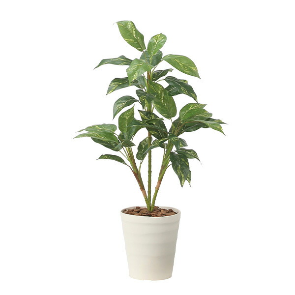 安価 光触媒 観葉植物 お手入れ不要 枯れない お祝い 新生活 インテリア アートグリーン 高さ90cm フィロ90 人工観葉植物 おしゃれ 植物 玄関 グリーン エントランス ロビー リビング フェイクグリーン フェイク 消臭 フェイクグリ ン 鉢 カフェ オフィス インテリア