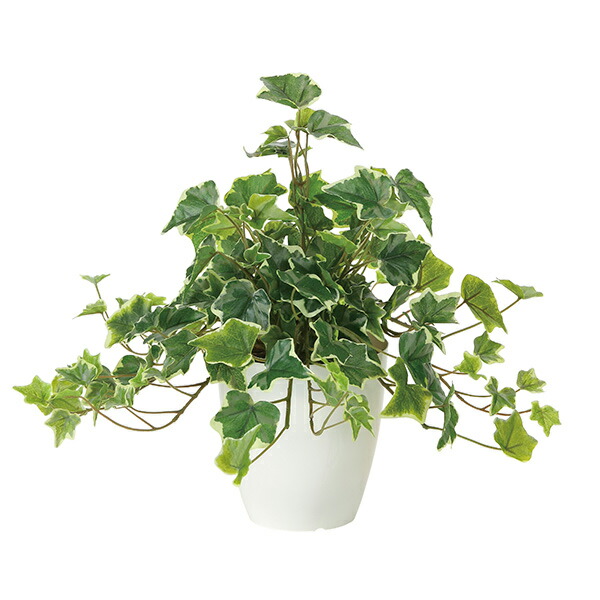 光触媒 人工観葉植物 フェイクグリーン フェイクグリ－ン リビング 観葉植物 カフェ おしゃれ エントランス ロビー 鉢 アイビー グリーン ミニ 玄関 消臭 オフィス インテリア フェイク 植物 インテリアグリーン 人工植物 フレッシュ斑入りアイビー アートグリーン
