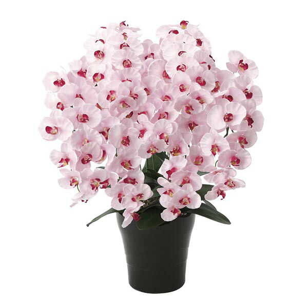 日本産 楽天市場 胡蝶蘭 ピンク インテリアグリーン 玄関 観葉植物 オフィス 造花 カフェ コチョウラン フェイクグリーン 花 ロビー リビング 光触媒造花 消臭 おしゃれ フェイク オシャレ グリーン 植物 光触媒 人工観葉植物 インテリア プレミアム胡蝶蘭7本立p 母