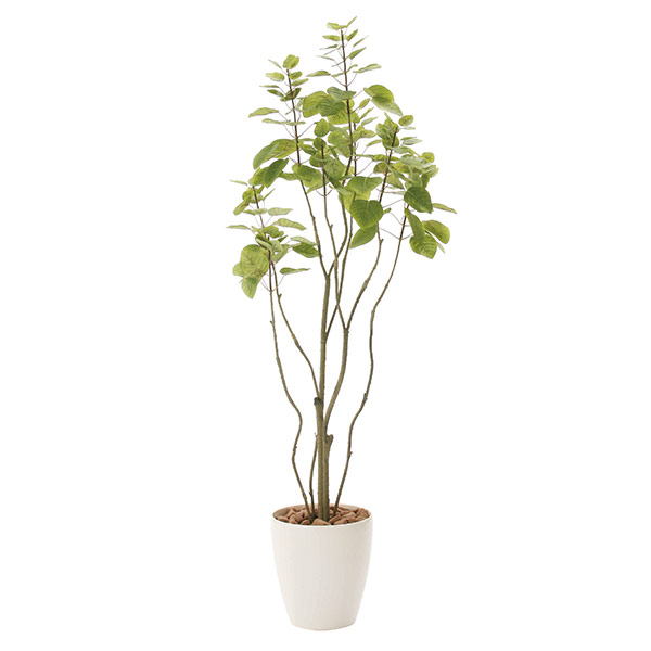 光触媒 人工観葉植物 おしゃれ 抗菌 観葉植物 ローボード 造花 掛け時計 高さ130cm インテリアグリーン 本棚 植物 フェイクグリーン インテリア フィカスブランチツリー1 3 グリーン 人工植物 フェイク 消臭 防汚 人工 光触媒加工 北欧 玄関 リビング 引っ越し祝い 開店