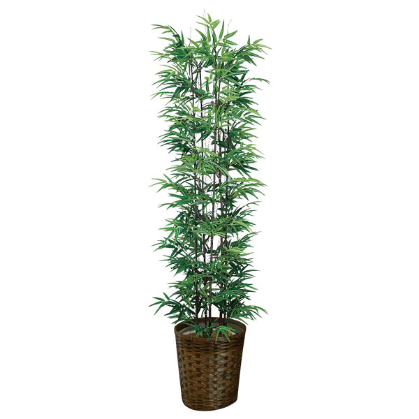 即発送可能 楽天市場 光触媒 人工観葉植物 インテリアグリーン 消臭 おしゃれ 造花 フェイクグリーン 人工植物 インテリア 観葉植物 グリーン 高さ180cm フェイク 植物 大型 黒竹1 8 抗菌 防汚 人工 光触媒加工 お手入れ不要 北欧 玄関 リビング 引っ越し祝い 開店