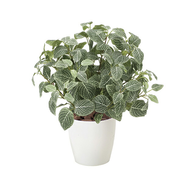 激安特価 楽天市場 光触媒 人工観葉植物 インテリアグリーン おしゃれ 観葉植物 造花 グリーン フェイクグリーン フェイク 人工植物 高さ48cm インテリア ミニ 消臭 ミニグリーン フィットニア 人工 光触媒加工 植物 北欧 玄関 リビング 引っ越し祝い 開店祝い