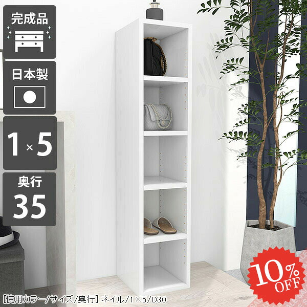 【2026年6月】百貨店大売り出しお得音沙汰まとめ 見逃し分かりやすい社会的運動等