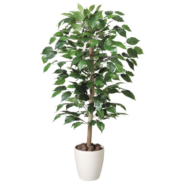 植物 光触媒グリーン 光触媒 ホルムアルデヒド ベンジャミン 人工 造花 人工観葉植物 消臭 鑑賞 観葉植物 グリーン フェイク アートグリーン 高さ100cm 造花 人工観葉植物抗菌 フェイクグリーン 防汚 ホルムアルデヒド 分解 光触媒 植物 観葉植物 ベンジャミン 人工 高さ