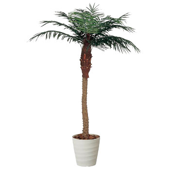 人工観葉植物 観葉植物 光触媒 グリーン 植物 イミテーショングリーン 光の楽園 光触媒人工観葉植物 大型 フェイクグリーン 高さ180cm 人工植物 インテリアグリーン 光触媒人工植物 インテリア 消臭 ホルムアルデヒド 分解 フェニックス 1.8