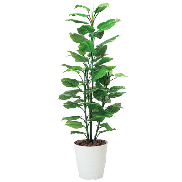 【楽天市場】人工観葉植物 観葉植物 光触媒 グリーン 植物 イミテーショングリーン ギフト 寝室 大型 フェイクグリーン リビング 高さ